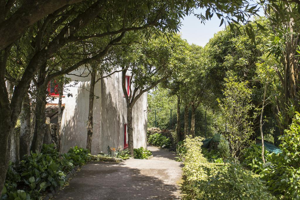 Casa Do Maranhao - Nature & Views Experience Capelas Eksteriør bilde